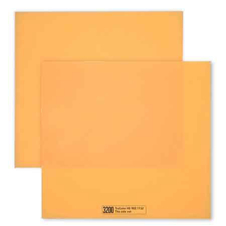 Cineo Lighting HS Phosphor Panel (Set of 2) - 6500K