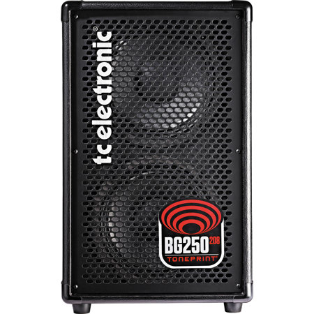 TC Electronic BG250 210 208 250W 2x8" Bass Amplifier & Speaker Combo