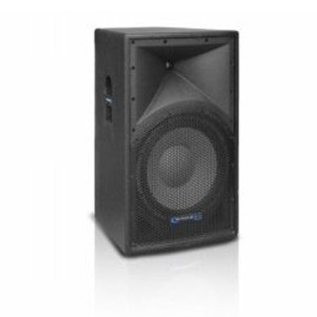 Technical Pro High Power Professional 15" Loudspeaker, Black