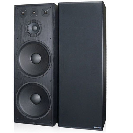 Technical Pro Double 15" Professional Loudspeaker, Black