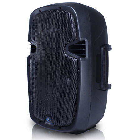 Technical Pro W1050 ABS Molded 10" Two way Passive Loudspeaker, Black