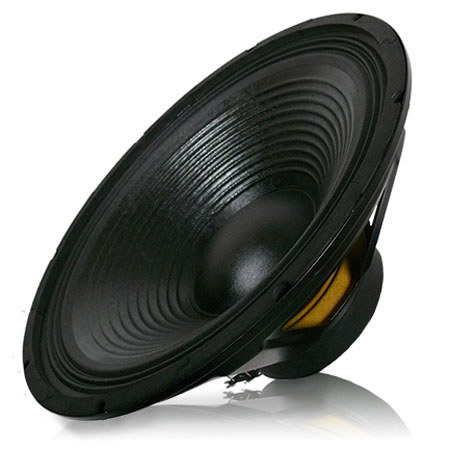 Technical Pro WF18.1 18" Raw Subwoofer