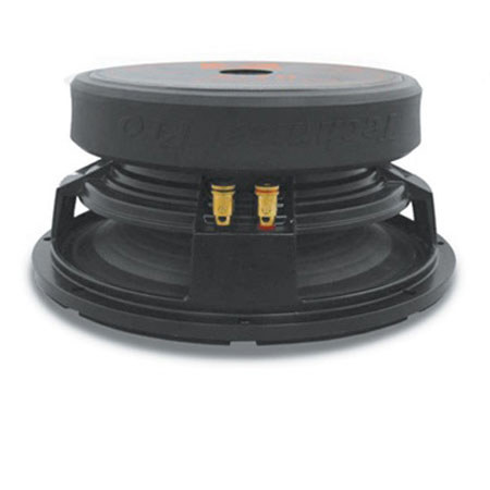 Technical Pro Z10.1 10" Raw Subwoofer, Black
