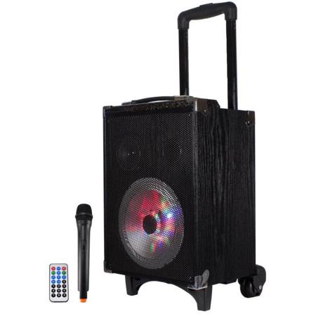 Technical Pro WASP680X 8" Rechargeable Portable Bluetooth LED Speaker, Mic Stand