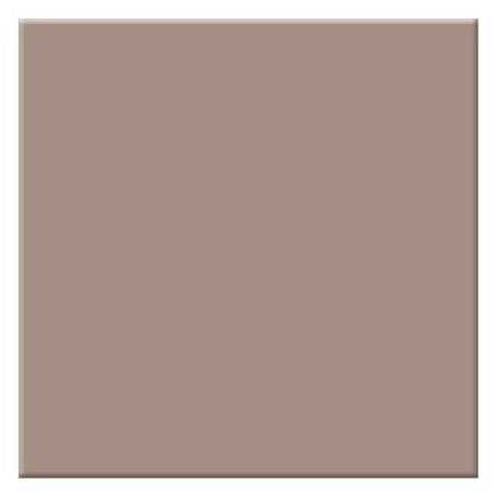 Tiffen 6.6 x 6.6" 81B Light Balancing Filter