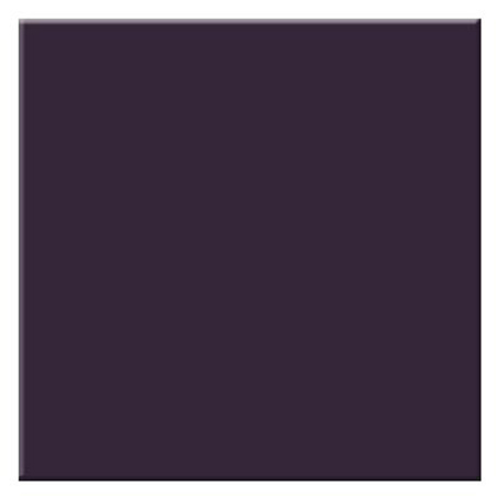 Tiffen 6" Round Linear Polarizing Filter - Unmounted