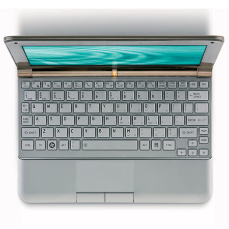 Toshiba Mini NB205-N325BN 10.1" Netbk w/1GB Ram,Sb Brw