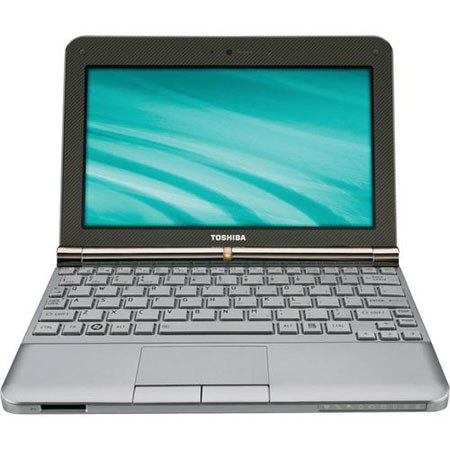 Toshiba Mini NB205-N310/BN 10.1" Netbook, Brown
