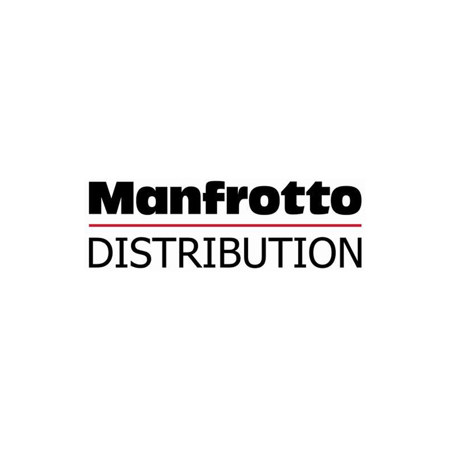 Bogen/Manfrotto 3038 Super Ball Head Tripod Head