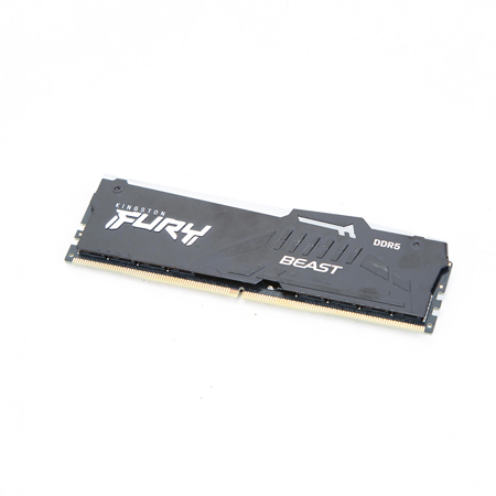Kingston Technology : Picture 1 regular
