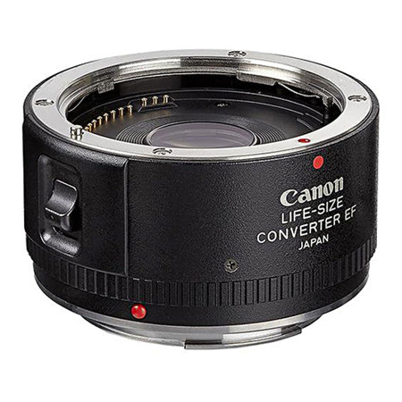 Canon Life-Size Converter