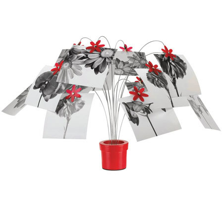 Umbra Petal Desktop Photo Holder, Display Holds 15 Photos Color: Red / Nickel.