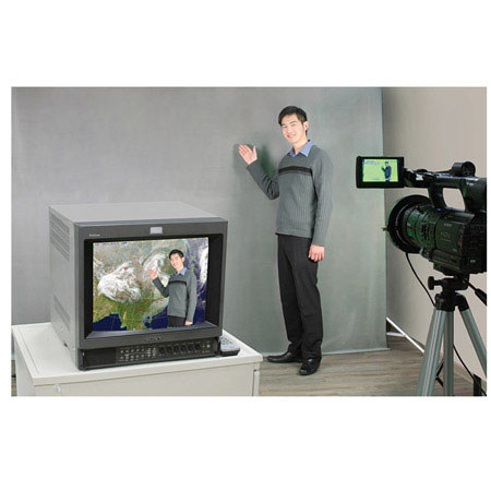 Datavideo CKL-300 Dual Color Chromakey Kit
