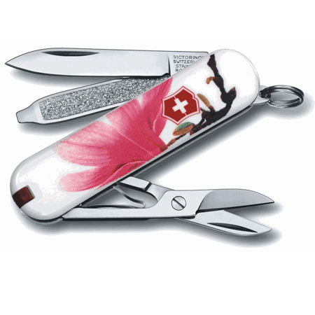 Victorinox Swiss Army Classic SD Pocket Knife, Magnolia