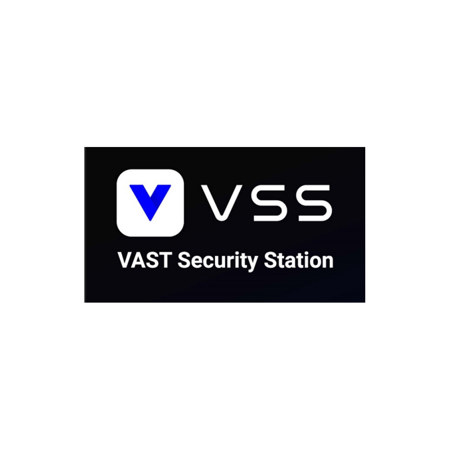 Vivotek VAST Security Station Camera License, Professional Edition VSS ...