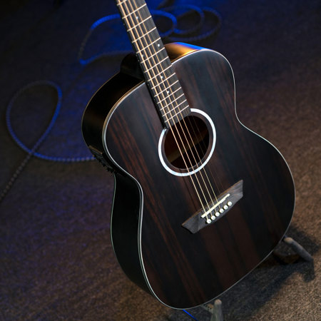 Washburn Deep Forest Ebony FE Acoustic Guitar, Striped Ebony