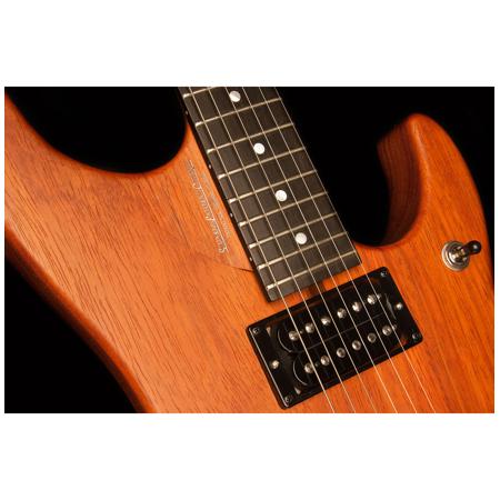 Washburn Nuno Bettencourt Signature Series N4EPNM Electric
