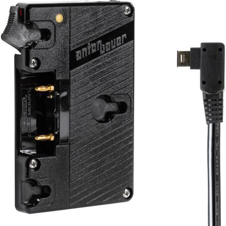 Wooden Camera Gold Mount Plate for Sony FS700 Camera