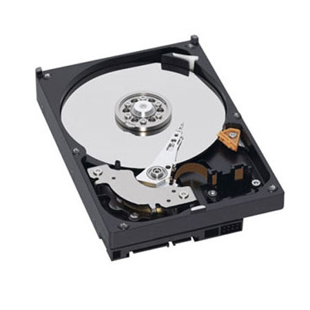 WD Caviar Blue 320GB Internal Hard Drive, Single Pack