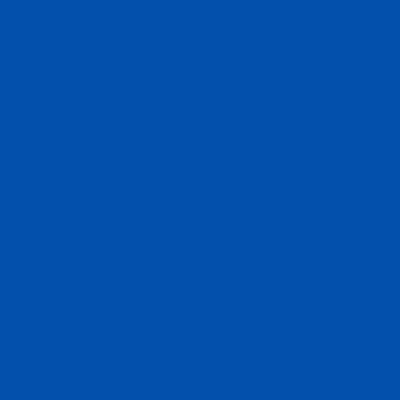 Westcott 5773 Muslin Sheet Background, 10ftx12ft, Blue