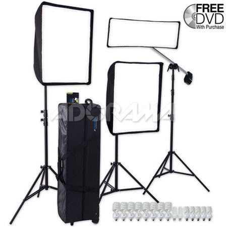 Westcott Window 3-Light Kit