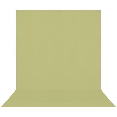 Westcott 8x13' X-Drop Pro Wrinkle-Resistant Backdrop, Light Moss Green