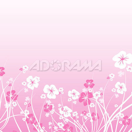 Westcott 5 x 6ft Pink Daisies, Muslin Background, 813
