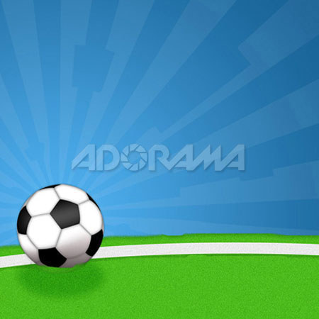 Westcott 6 x 8ft Goal, Muslin Background, 947