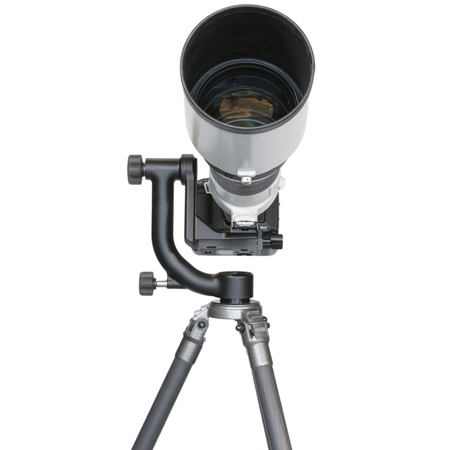 Wimberley WH-200 Gimbal Tripod Head II with Quick Release