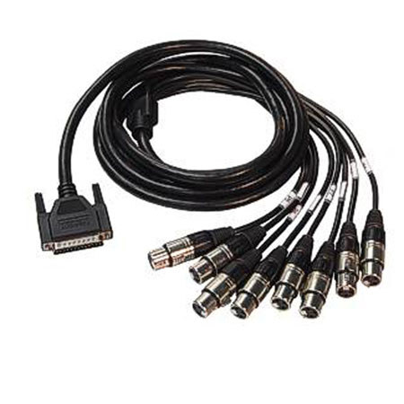 Whirlwind 10' DB25 Male to 8 XLR Female Connect Series Molded Cable