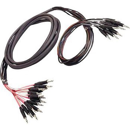Whirlwind 25' 16 1/4" TRS Male to 8 XLR Male and 8 XLR Female Insert Snake Cable