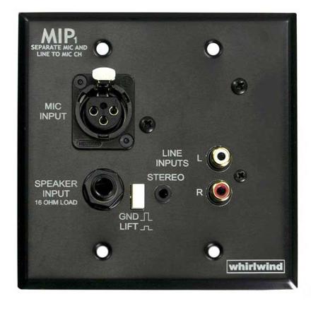 Whirlwind MIP1 2-Gang Media Input Plate, Black