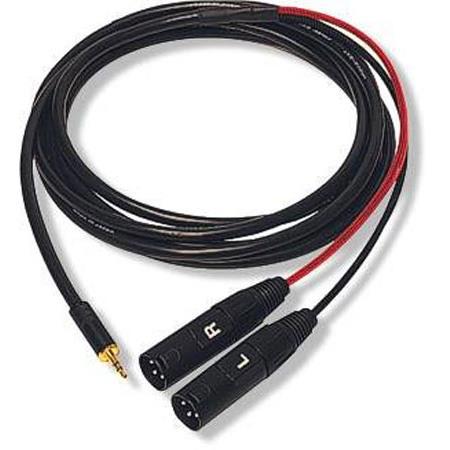 Whirlwind 10' 1/8" TRS Male TO Dual Male XLR Cable Adapter