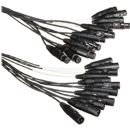 Whirlwind Medusa Multitrack 10' 12Ch 3-Pin XLR Male to Female Fanout Snake Cable