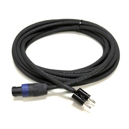 Whirlwind 100' NL4 Speakon to Dual Banana Male 12Gauge Single Line Speaker Cable