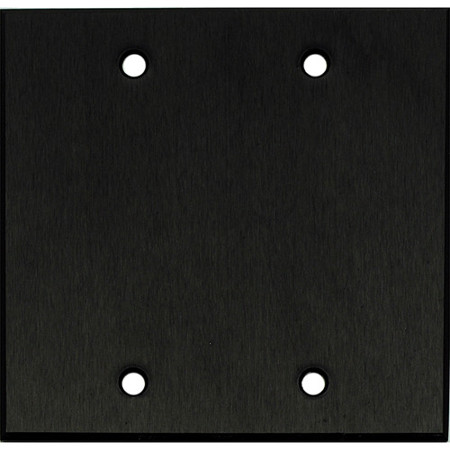 Whirlwind WPX2B/0H Wall Mounting Plate, 2 Gang, .125" Black Anodized Aluminum
