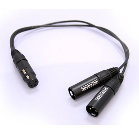 Whirlwind 1.5' XLR Female to 2 XLR Male Y Adapter Cable