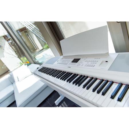 Yamaha dgx 670 white cheap
