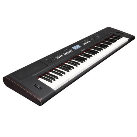 Yamaha Piaggero NP-V80 76 Keys Digital Piano with Survival Kit C2