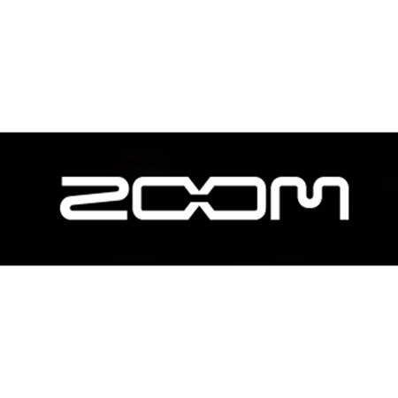 Zoom 4GB MicroSD Memory Card + Adapter for H1