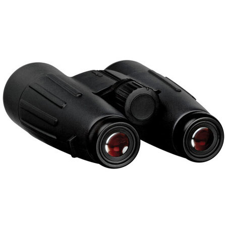 Zeiss 8x56 Victory T FL Binocular