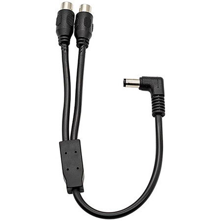 ZWO 5.9" DC Jack Male to 2x RCA Female Y-Splitter Cable
