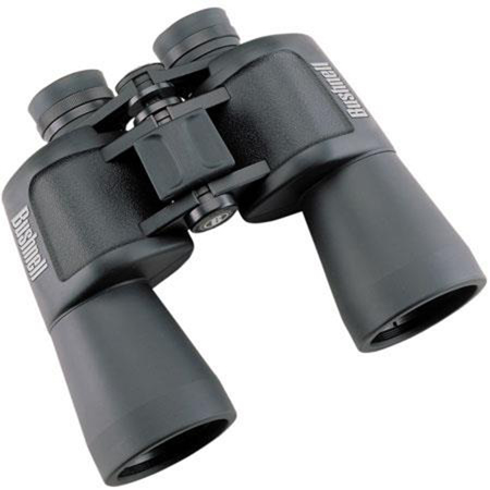 bushnell insta focus