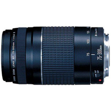 Canon Ef 75 300mm F 4 5 6 Iii Lens 6473a003 Adorama