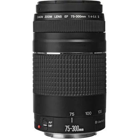 実用美品☆キヤノン☆CANON EF 75-300㎜ F4-5.6 III Canon EF 75-300mm f/4-5.6 III Lens 6473A003 - Adorama
