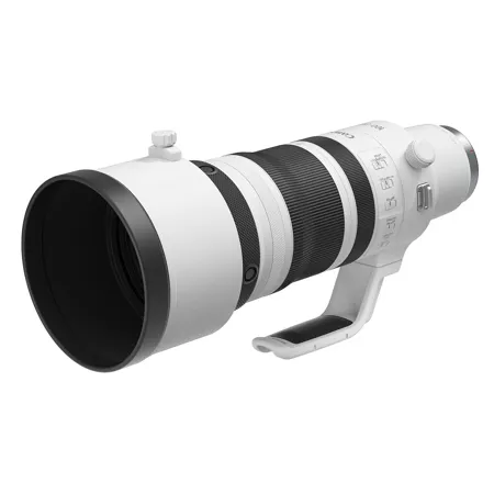 Canon RF 100-300mm f/2.8 L IS USM Lens 6055C002 - Adorama