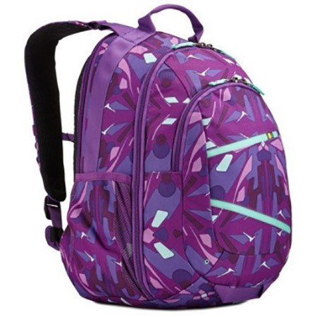 case logic berkeley 2