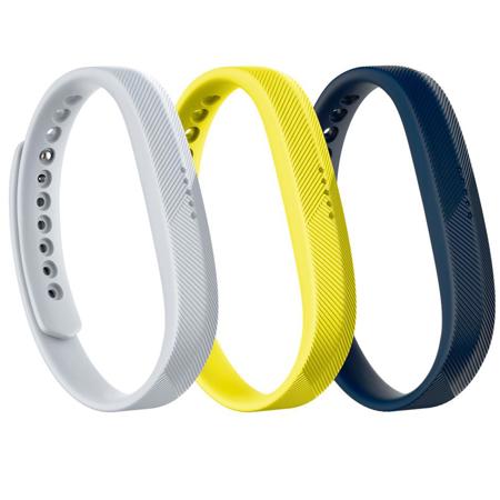 fitbit sport chek