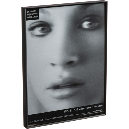 Fineline Picture Frame Color: Black, Size: 12" x 18" Frame/None Mat