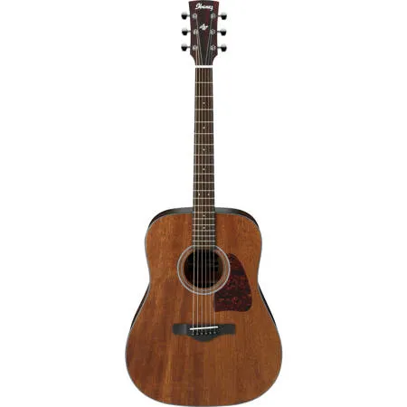 Ibanez Artwood Series AW54 Acoustic Guitar, Open Pore Natural AW54OPN
